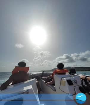 Card image cap rounded